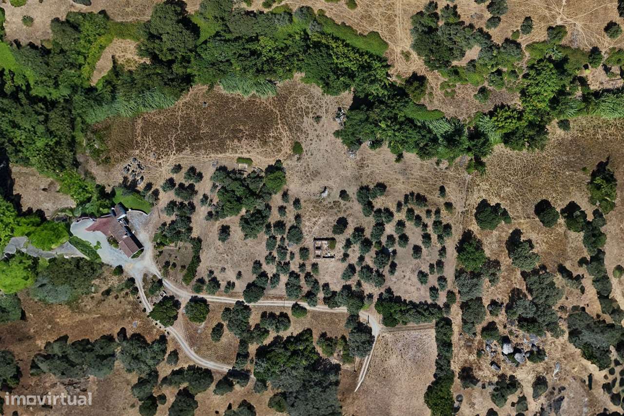 Terreno com 1.45 hectares e projeto aprovado, em Montemor o Novo - Grande imagem: 4/48