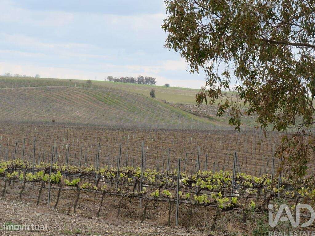 Casa / Villa T5 em Bombarral e Vale Covo - Grande imagem: 5/24