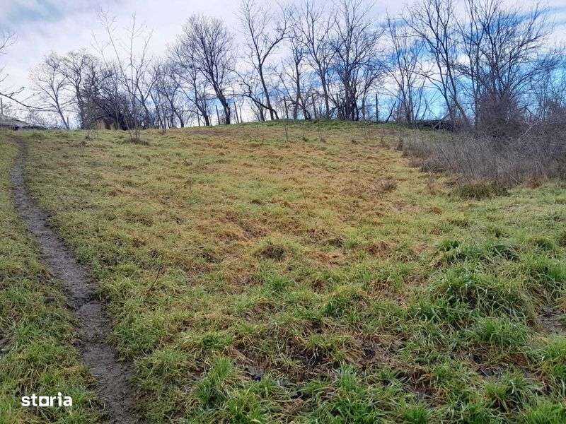 Teren de vanzare la Virlezi - Imagine principală: 4/8