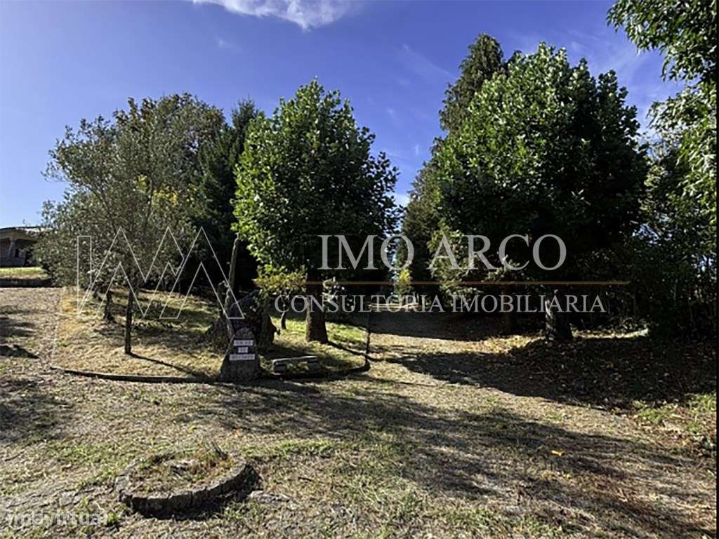 Quinta, com Moradia, Piscina e Adega-28