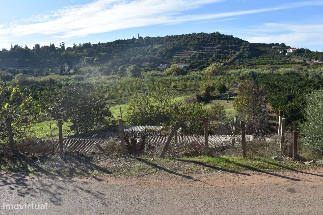 Terreno Rústico com bom acesso perto de Silves - Grande imagem: 3/24