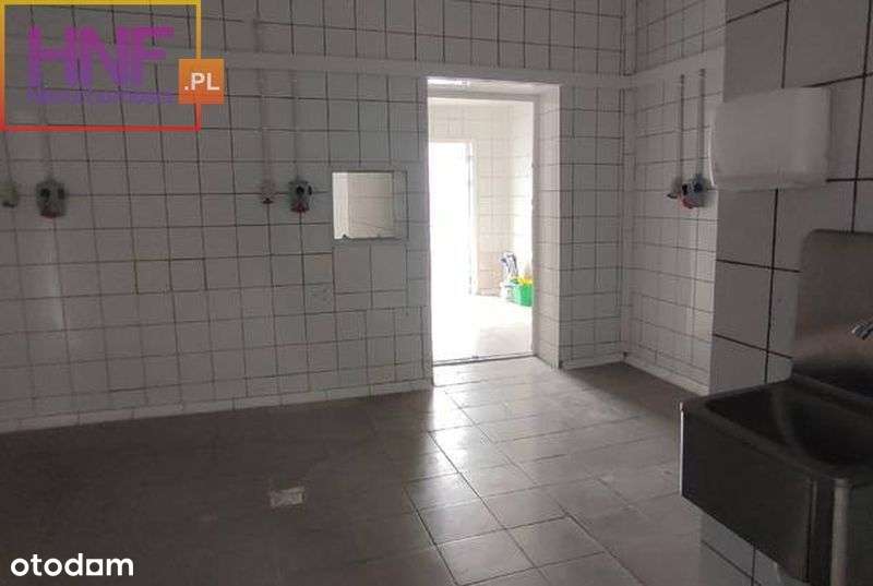 Do wynajecia zakład masarski w Tęgoborzy 250m2 - Pełny obrazek: 2/11