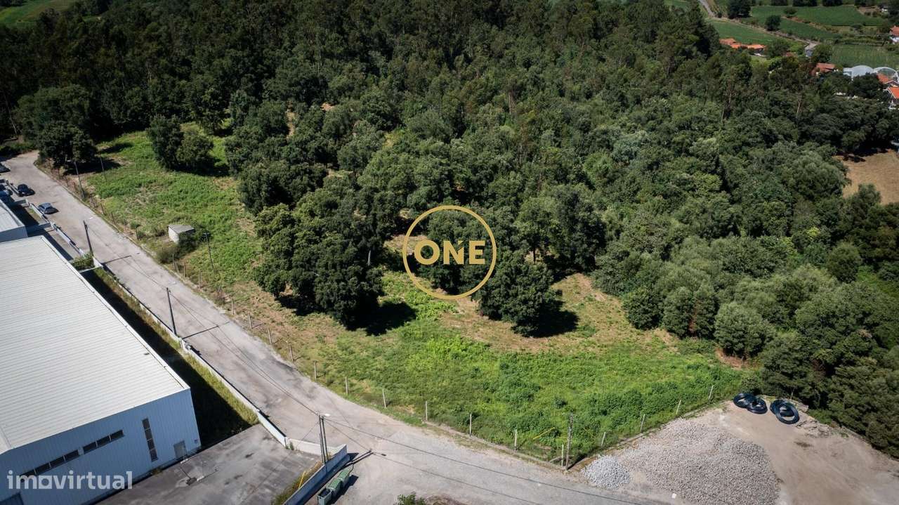 Projeto para Pavilhões em Palmeira, S.Tirso - Grande imagem: 3/13