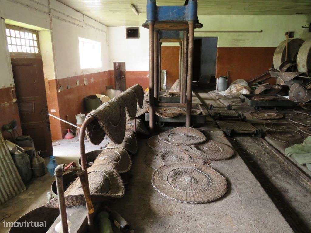 Lagar de Azeite com 380 m2 inativo à 5 anos - Grande imagem: 3/12