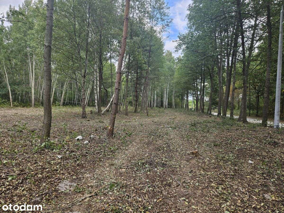 Działki budowlane w otoczeniu drzew-7