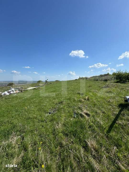 EXCLUSIVITATE! Cabana CHEILE TURZII, teren 8700 mp, priveliste superba - Imagine principală: 4/12