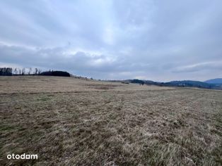 Działka rolna w Jaczkowie, 4,15 ha. Okazja!