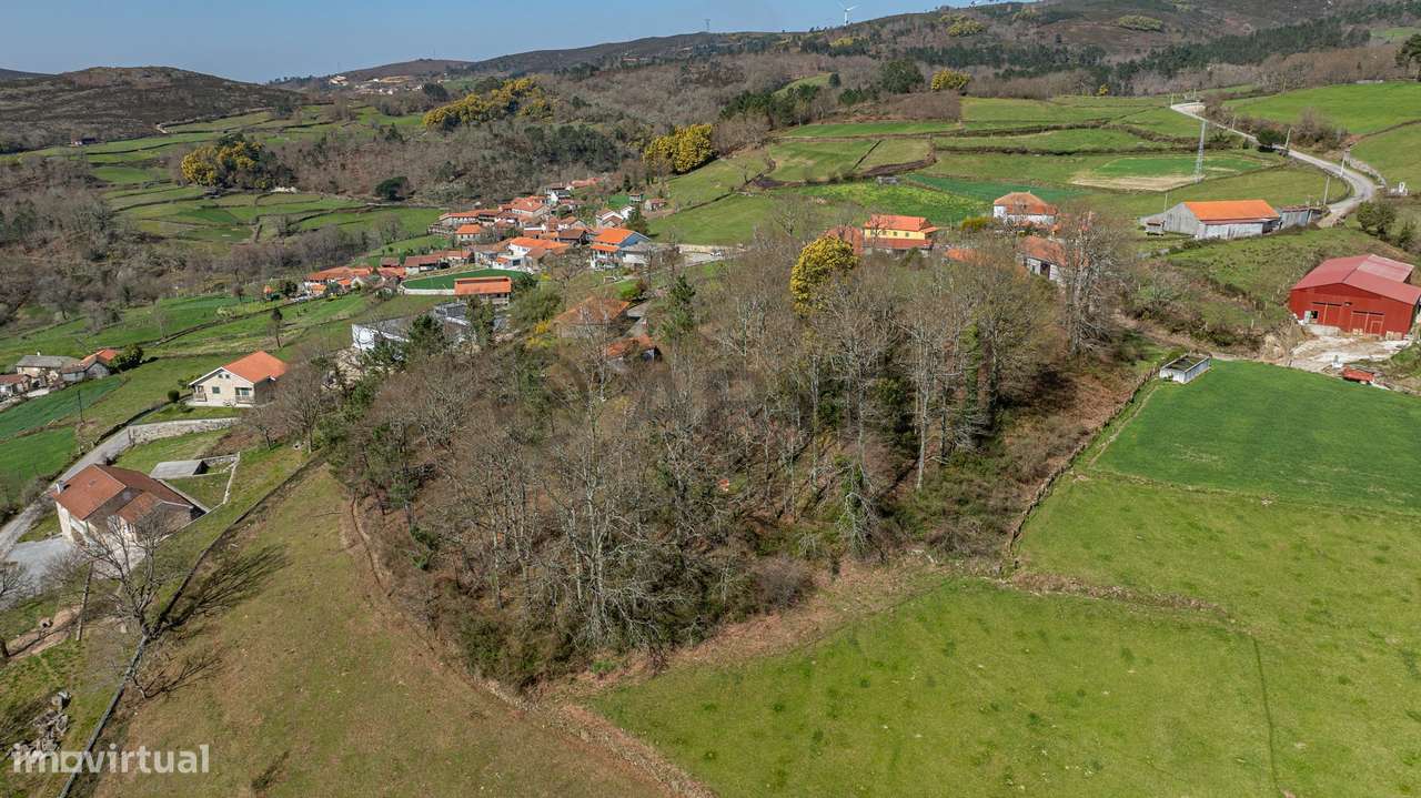 Terreno para construção – Currais, Reigoso, Montalegre-14