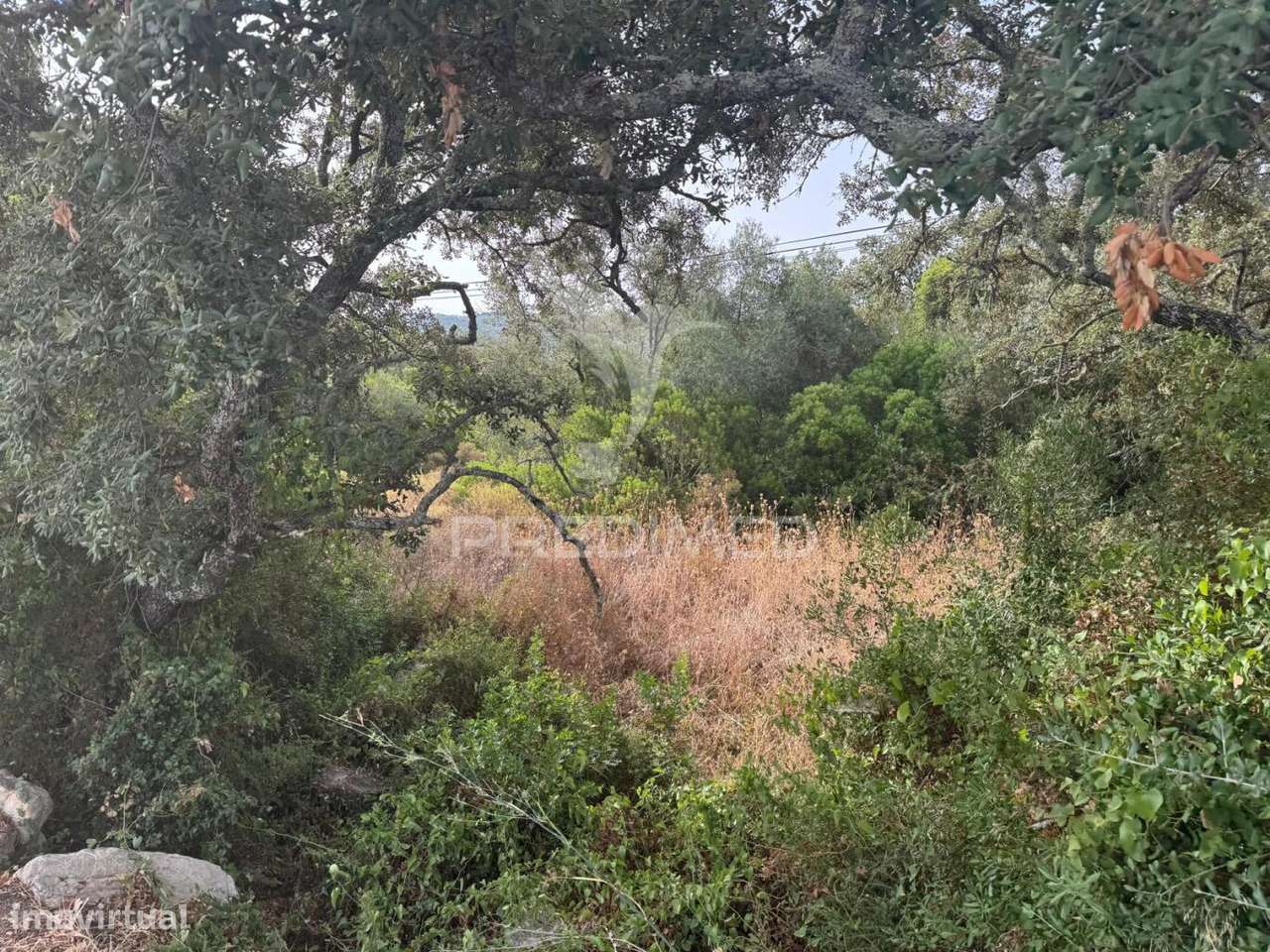 Terreno Rústico-Machados São Brás de Alportel - Grande imagem: 5/7