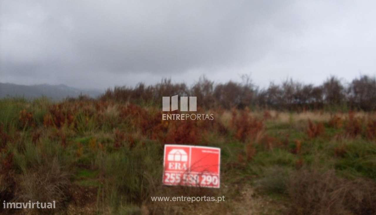 Venda Lote, Grilo, Baião - Grande imagem: 4/29