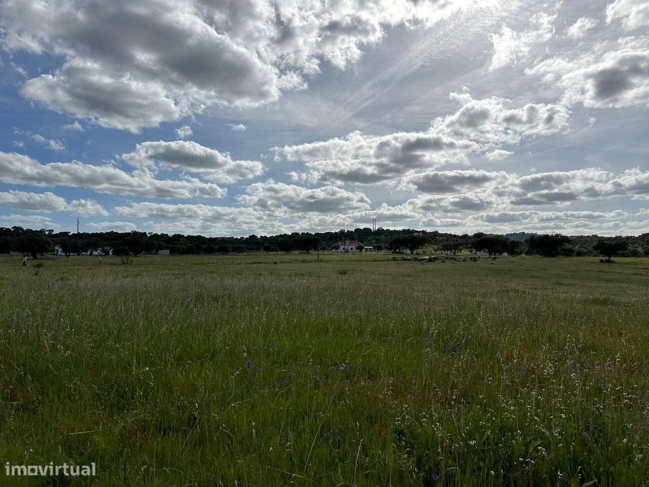 Terreno em Terena - Lagoa do Campo 14 ha - Grande imagem: 5/8