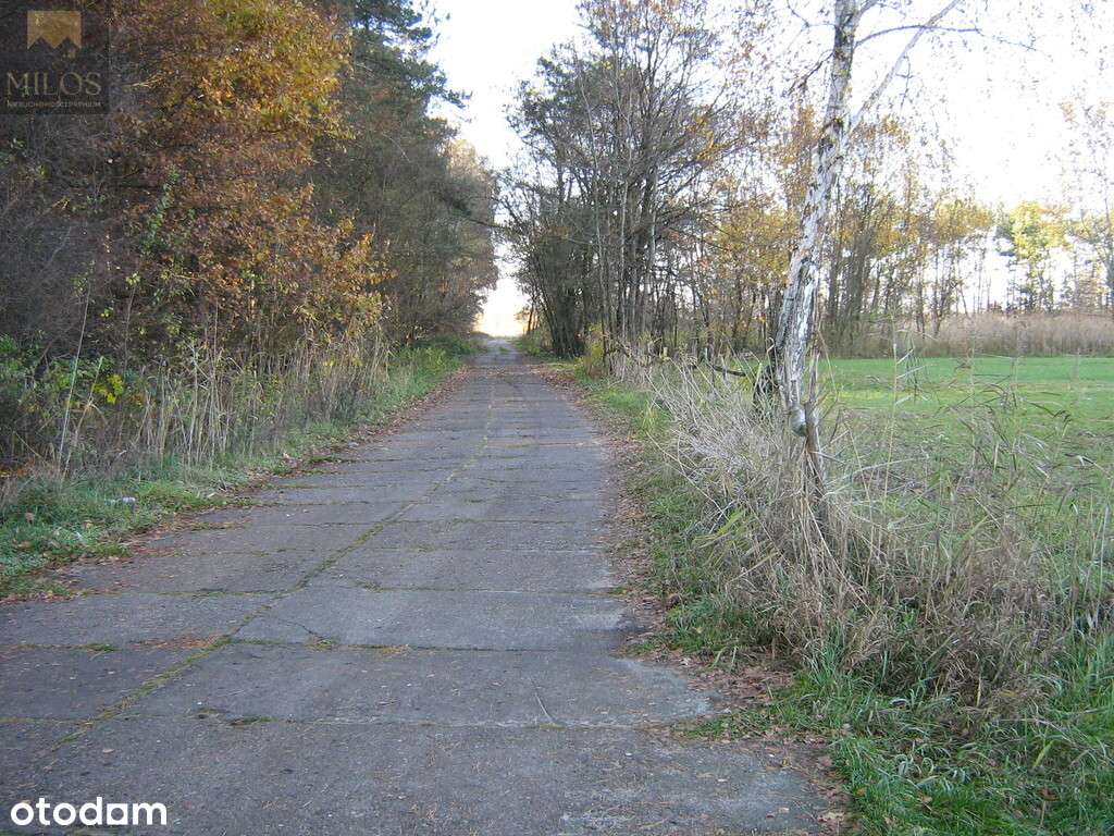 Duża, szeroka działka z WZ. Okazja inwestycyjna!-3