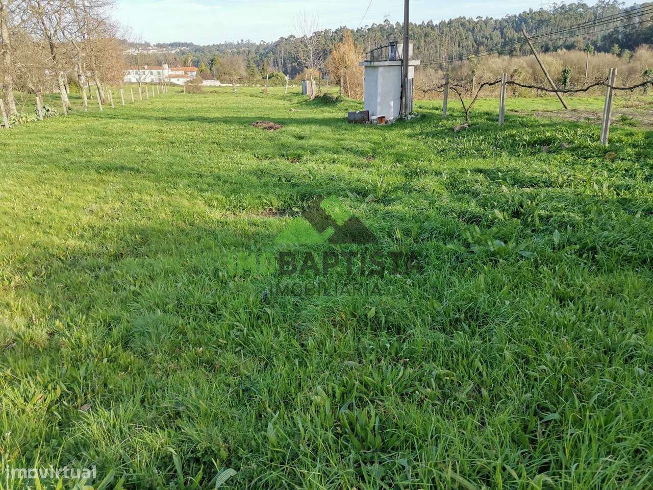 Terreno c/1100 m2 em Lobão - Grande imagem: 2/12