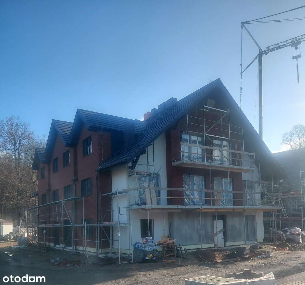 M-3 z widokiem na Park Paulinum - Pełny obrazek: 5/16