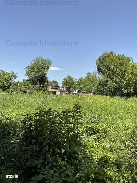 Casa la tara, cu dependinte si gradina - Imagine principală: 3/3