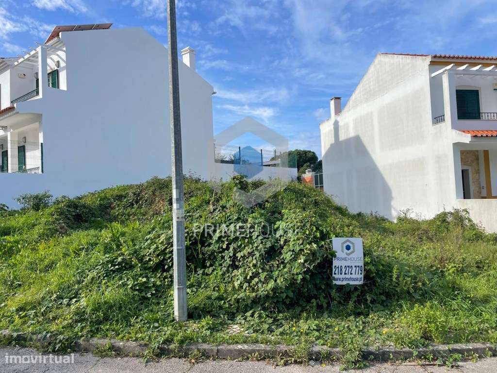 EXCLUSIVO - TERRENO CHARNECA COTOVIA - Grande imagem: 2/5