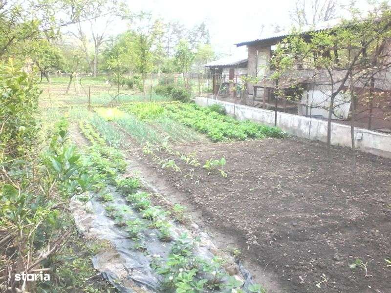 Vand casa 4 camere, S teren=2940 mp. Loc.Criscior, langa Brad. - Imagine principală: 4/5