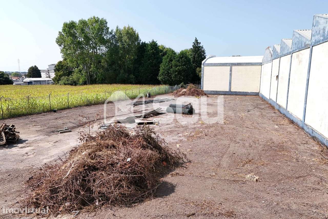 Vende-se Lote junto à N109 com ABC de 1.550m2 - Grande imagem: 5/9