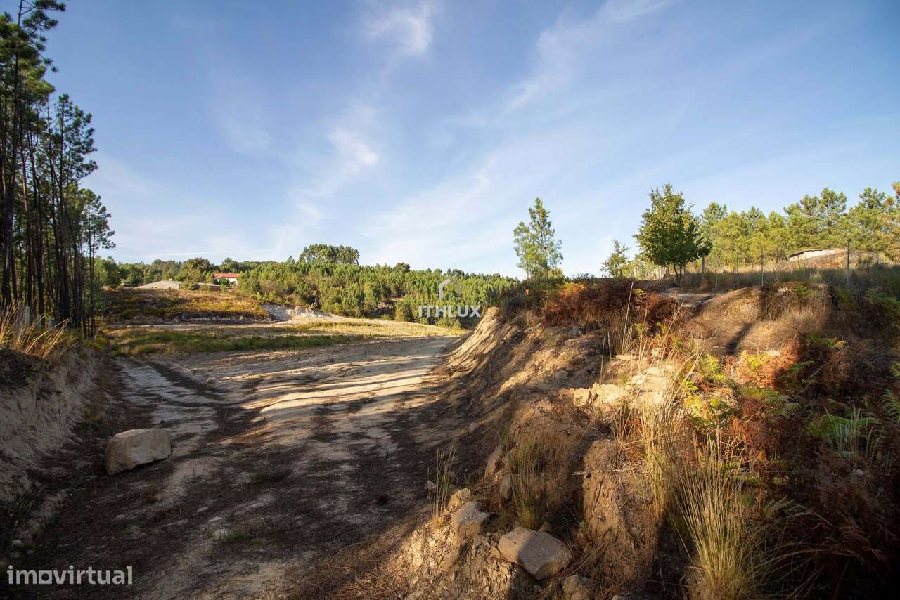 Terreno 40.000 m², Carragoso, Viseu - Grande imagem: 4/10