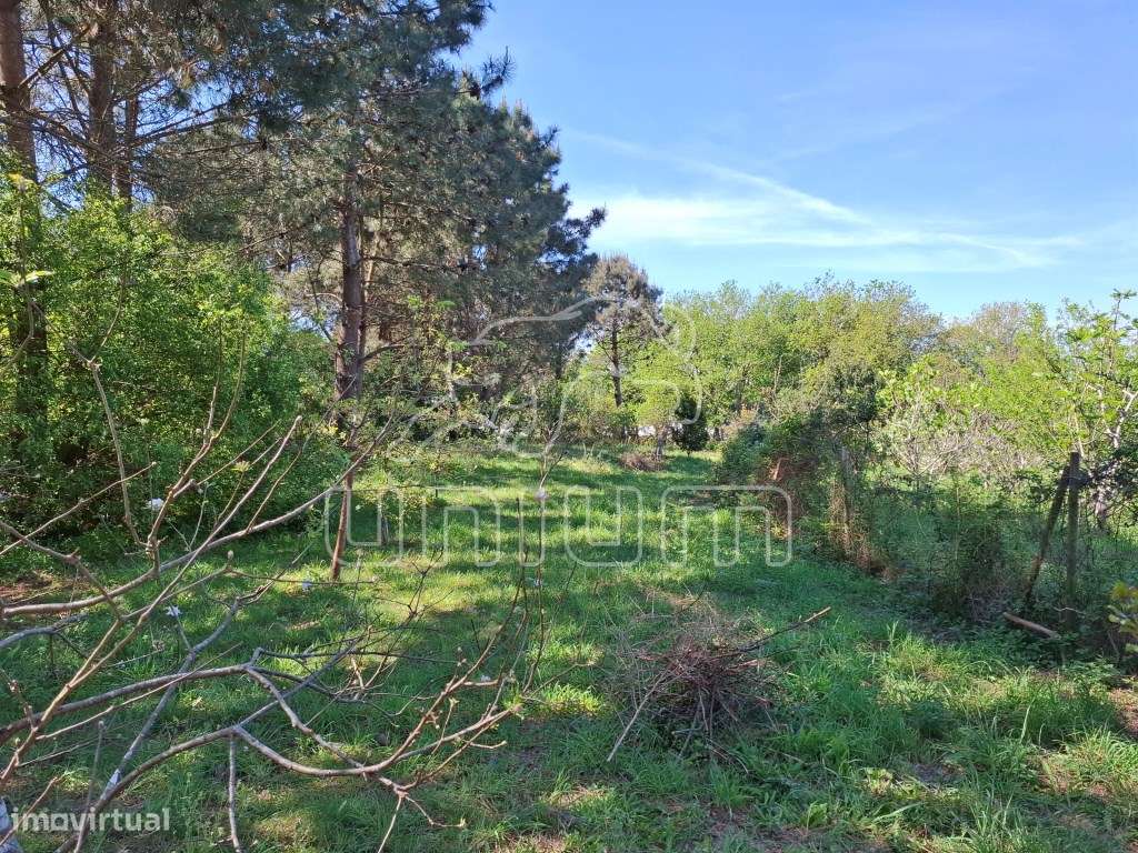 Fabuloso terreno para venda em Seixas-9