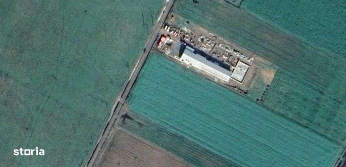 DE VÂNZARE Hala producție oua consum - Imagine principală: 1/11