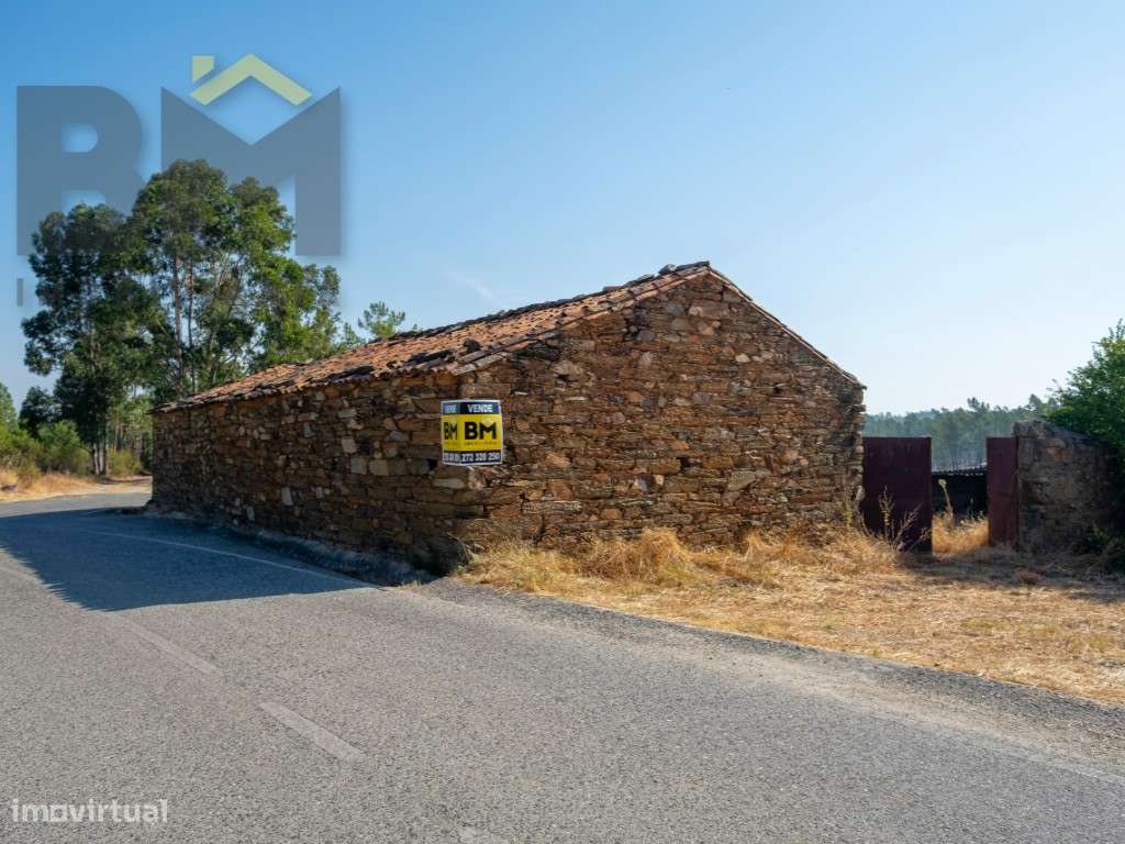 Quinta com Muito Potencial - Sarzedas, Castelo Branco - Grande imagem: 5/23
