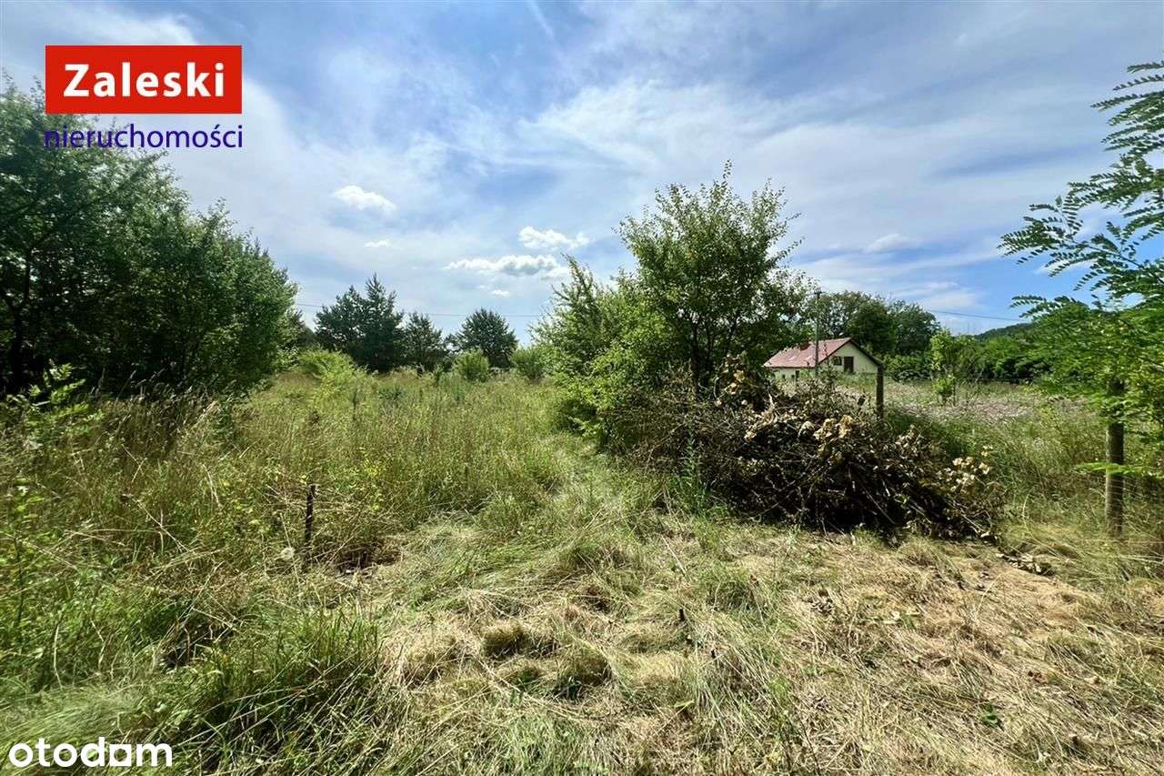 Działka budowlana - Zaskoczyn - Pełny obrazek: 5/7