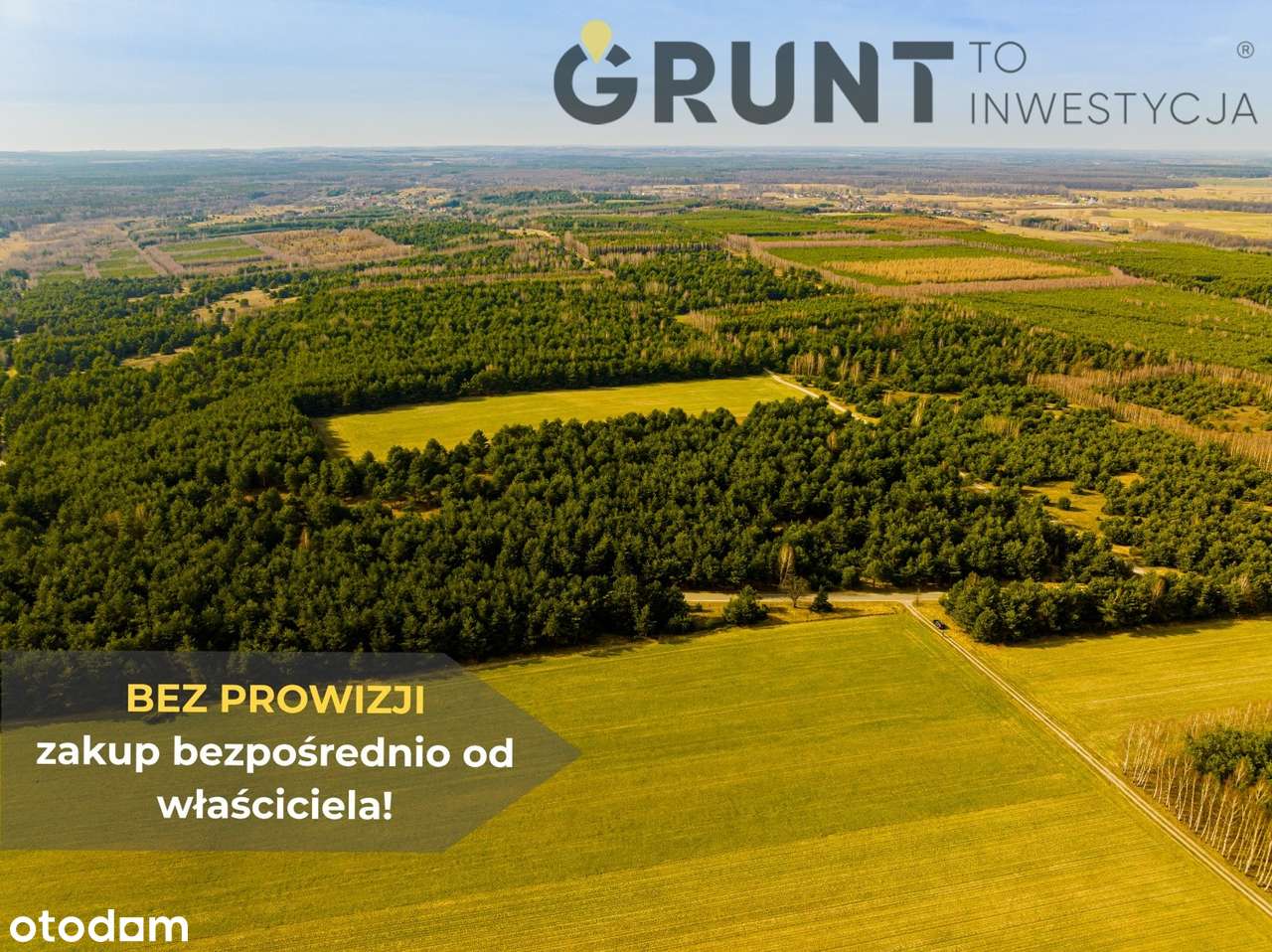 Kompleks Premium - zachowany piękny drzewostan - Pełny obrazek: 2/12