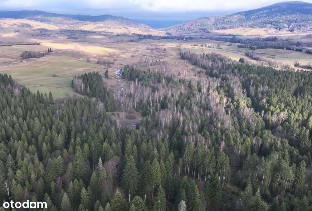 Działka na sprzedaż, Czarna - Pełny obrazek: 4/12