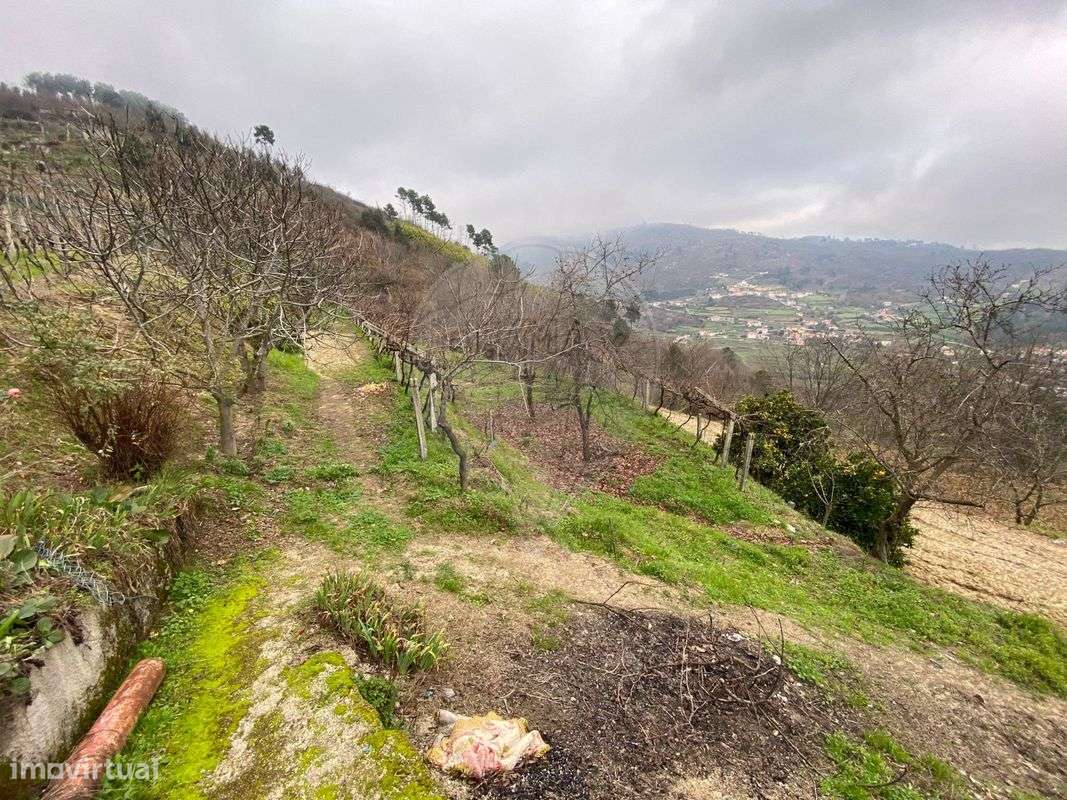 Terreno  para venda - Grande imagem: 4/8