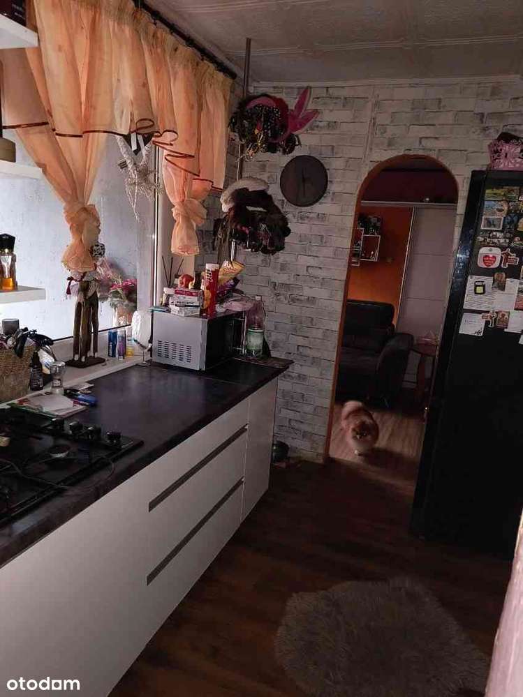 Działka z dwoma domkami  - miejsce na odpoczynek i dochodowy wynajem!-8