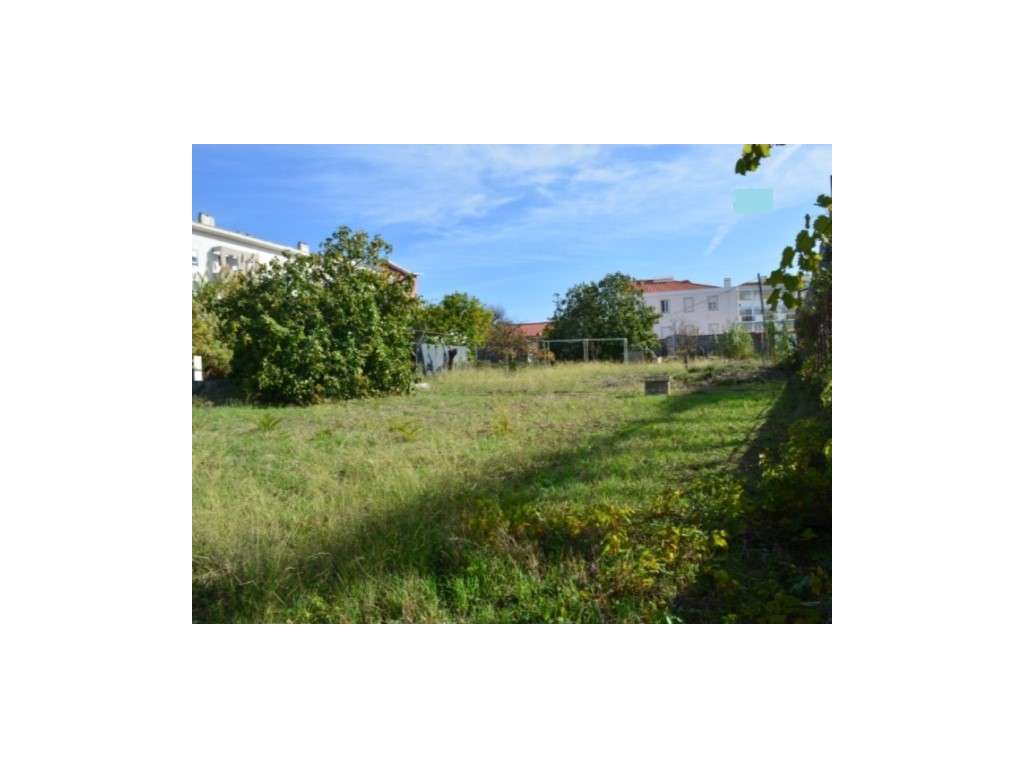 Terreno Rústico - Ajuda - Grande imagem: 2/12