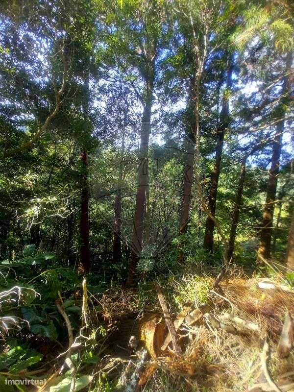 Terreno  para venda - Grande imagem: 2/8