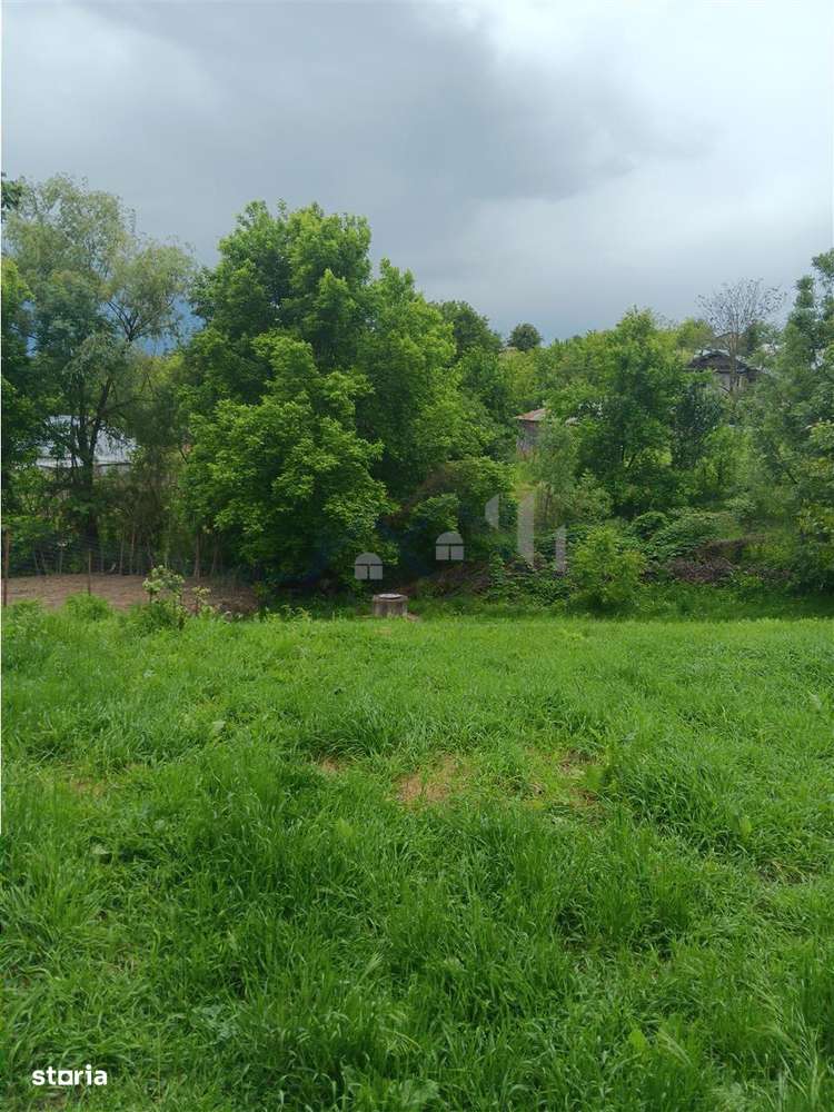 Ciurbesti TEREN 1347mp cu casa batraneasca 61mp utilitati trase panora - Imagine principală: 2/12