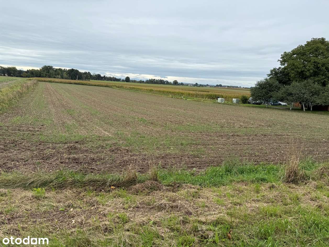 Działka w Wielkich Łąkach-3