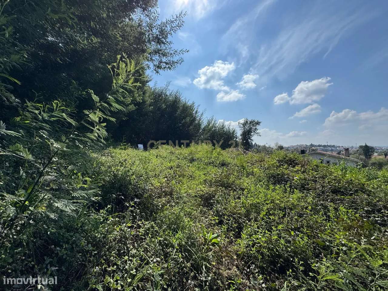 Terreno com Vista Panorâmica em Braga - 300.000€ - Grande imagem: 5/23