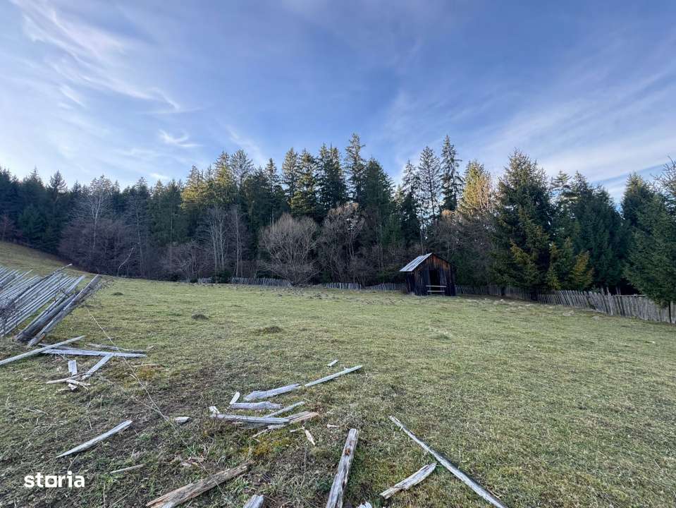 De vanzare 6850 mp pasune langa Manastirea Doroteia - Frasin /Plutonit - Imagine principală: 5/19