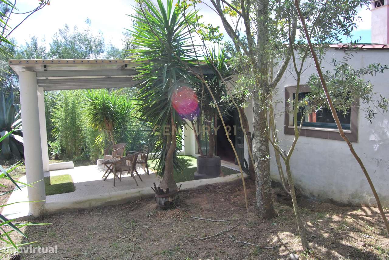 Terreno rústico 28200m2 em Vale do Junco, Chamusca, Golegã-14