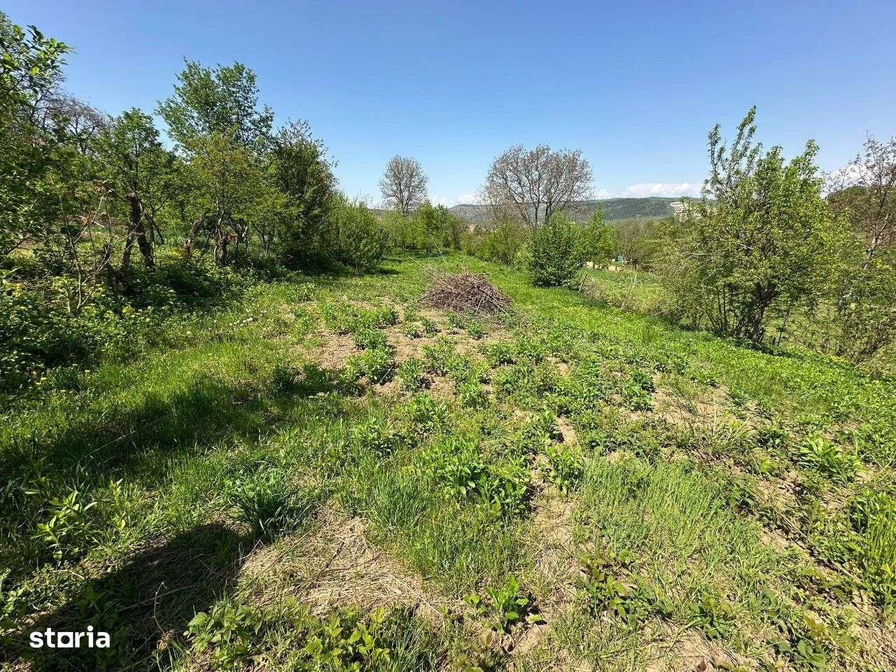 Casă DE VÂNZARE Str: Florilor Adămuș - Imagine principală: 5/19