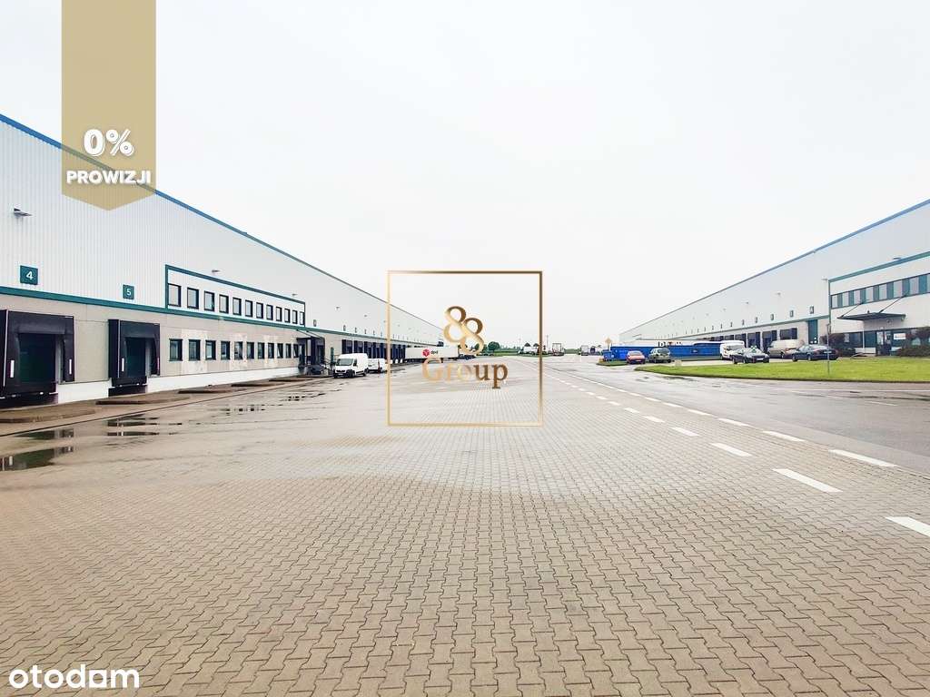 Magazyn Targówek 5422m2 - Pełny obrazek: 3/4