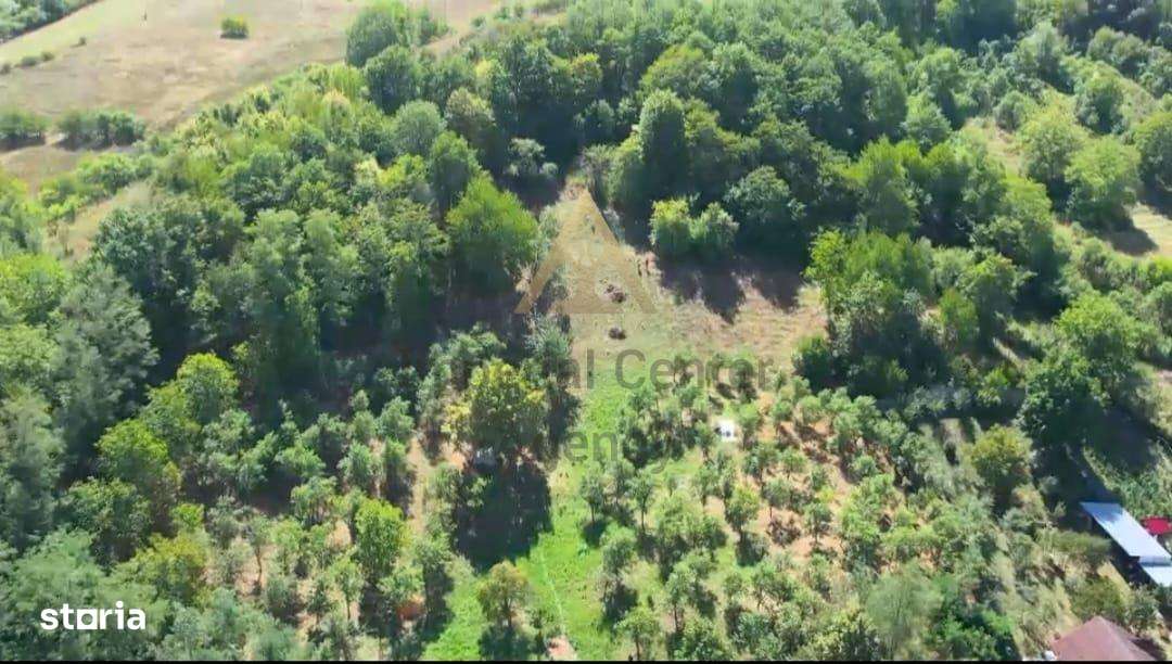 Teren intravilan + extravilan 10.537 mp – casa, livada sau ferma de fa-0