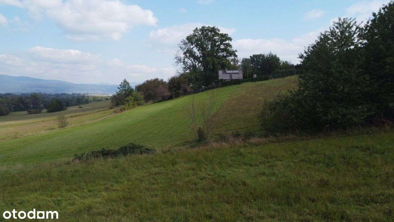 Oferta Na Wyłączność - Dostępna Tylko U Nas-2