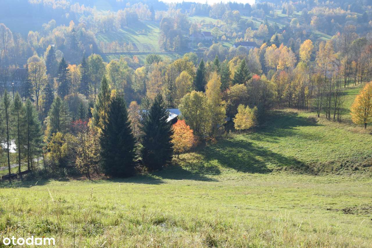 Działka w górach z decyzją o warunkach zabudowy, okolice Karpacza-11