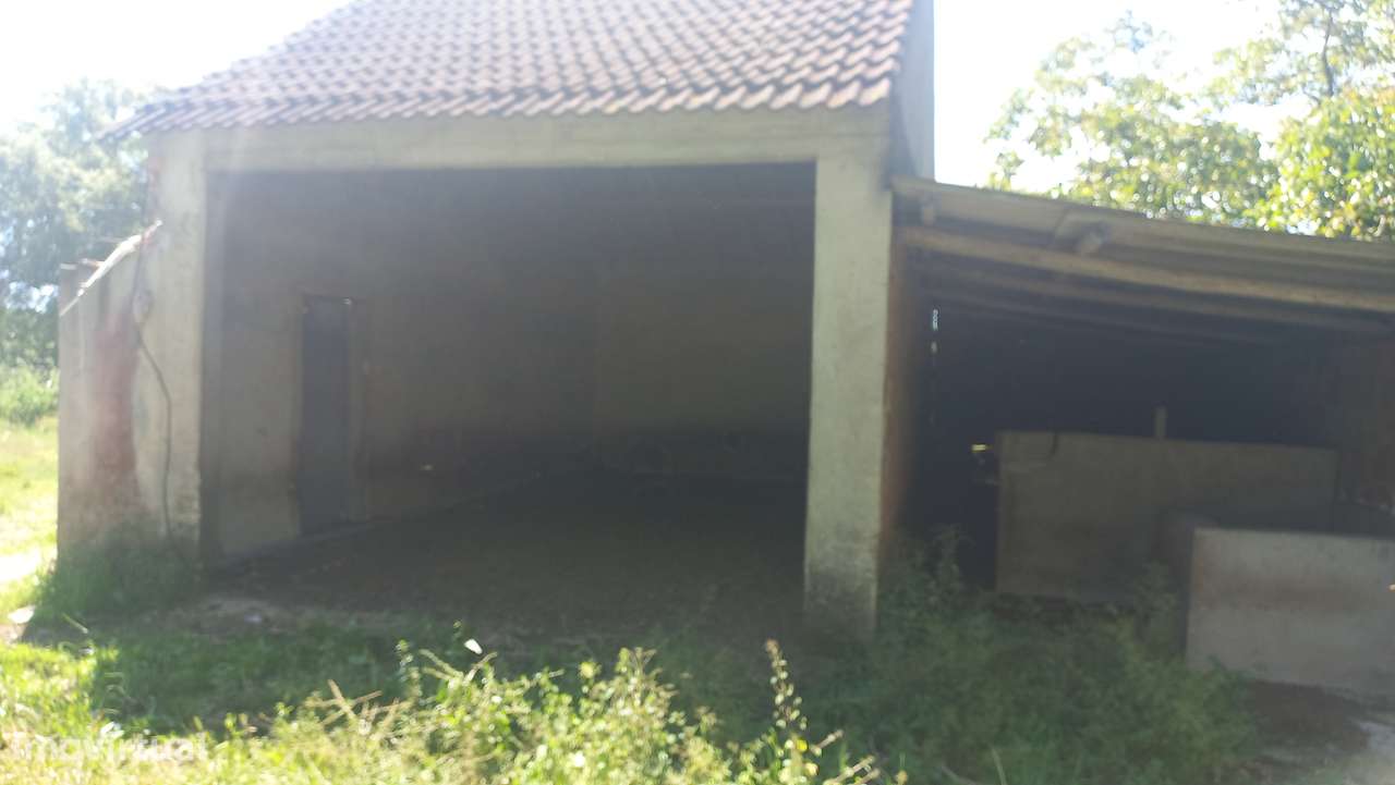 Terreno Único com Construção Autorizada e Água Todo o Ano – Rio Maior - Grande imagem: 5/22