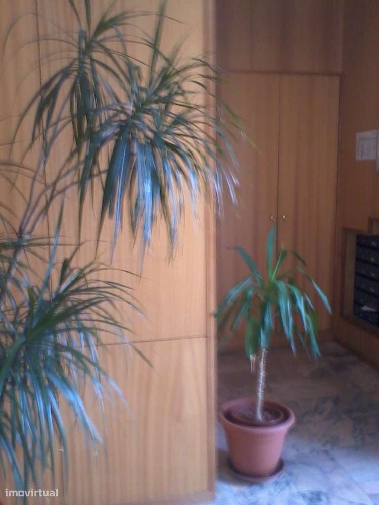 T1 Matosinhos Sul - Grande imagem: 4/11