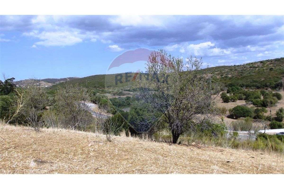 Terreno  para venda - Grande imagem: 3/5