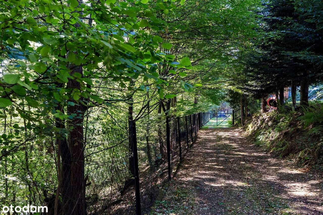 Domek letniskowy pod lasem na Żarnówce-19