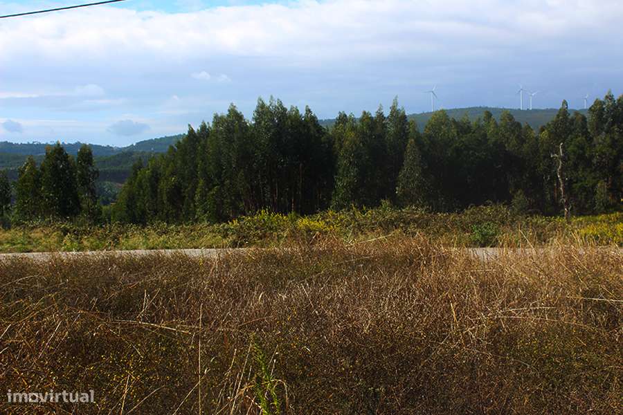 Terreno urbanizável, vista panorâmica, a 5 min. de Rio Maior, Cidral-4
