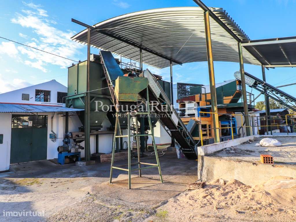 Unidade Industrial de Produção de Azeite & Elevado Potencial Produtivo-40