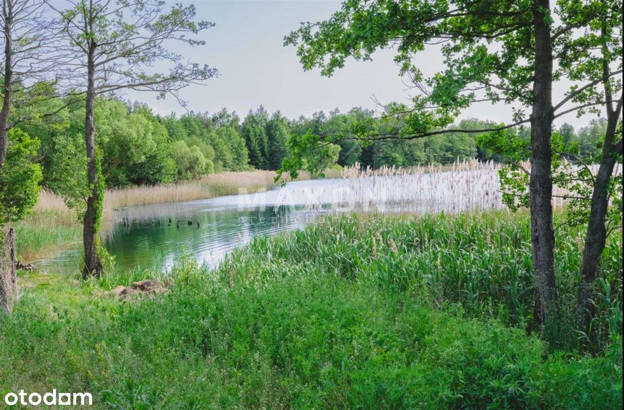 ❗❕ Działka nad jeziorem Dłuskim 1 730 mkw. ❕❗ - Pełny obrazek: 5/10